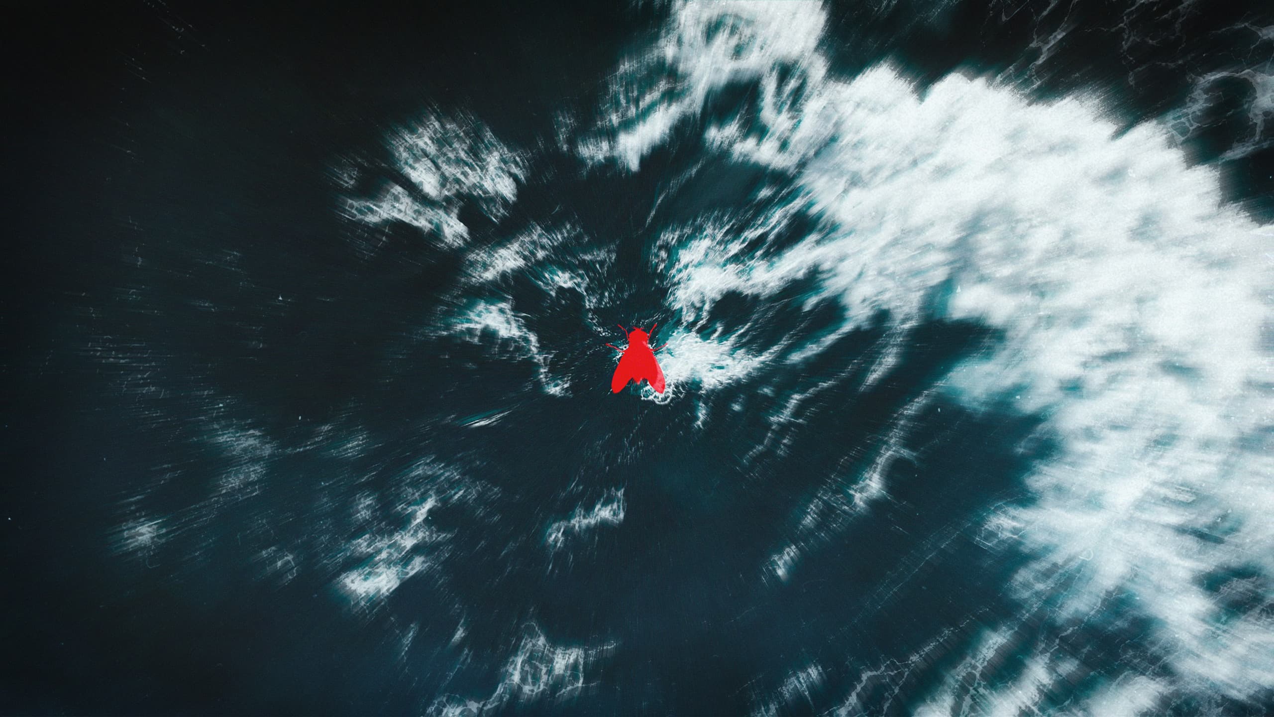 A single red fly seen from above at the centre of dark teal water, white spray breaking around it